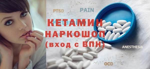 сатива Аркадак