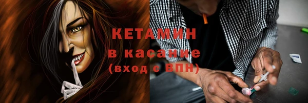 сатива Аркадак