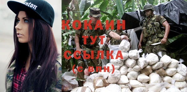 индика Арсеньев