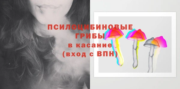 индика Арсеньев