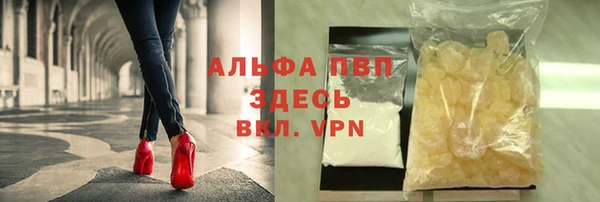 сатива Аркадак