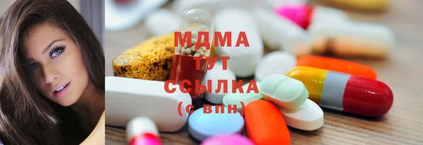 индика Арсеньев