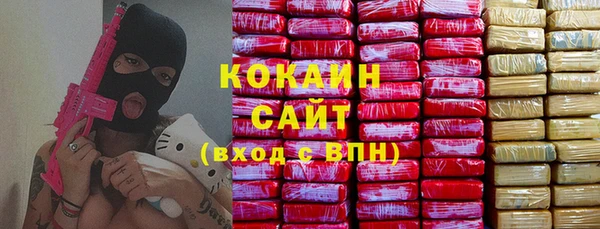 индика Арсеньев