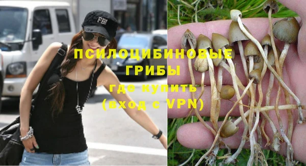 индика Арсеньев