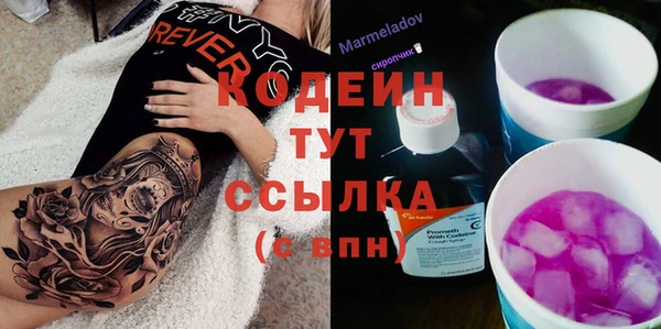 индика Арсеньев