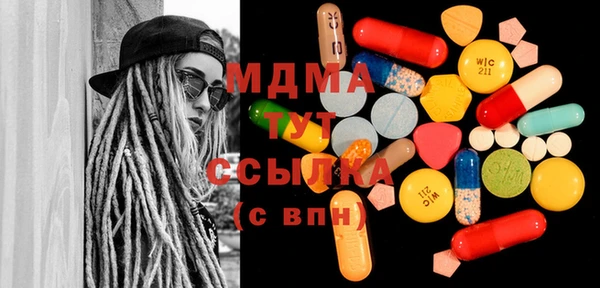 индика Арсеньев
