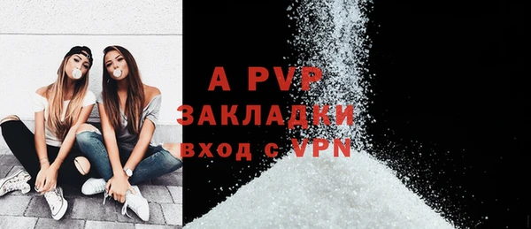 сатива Аркадак