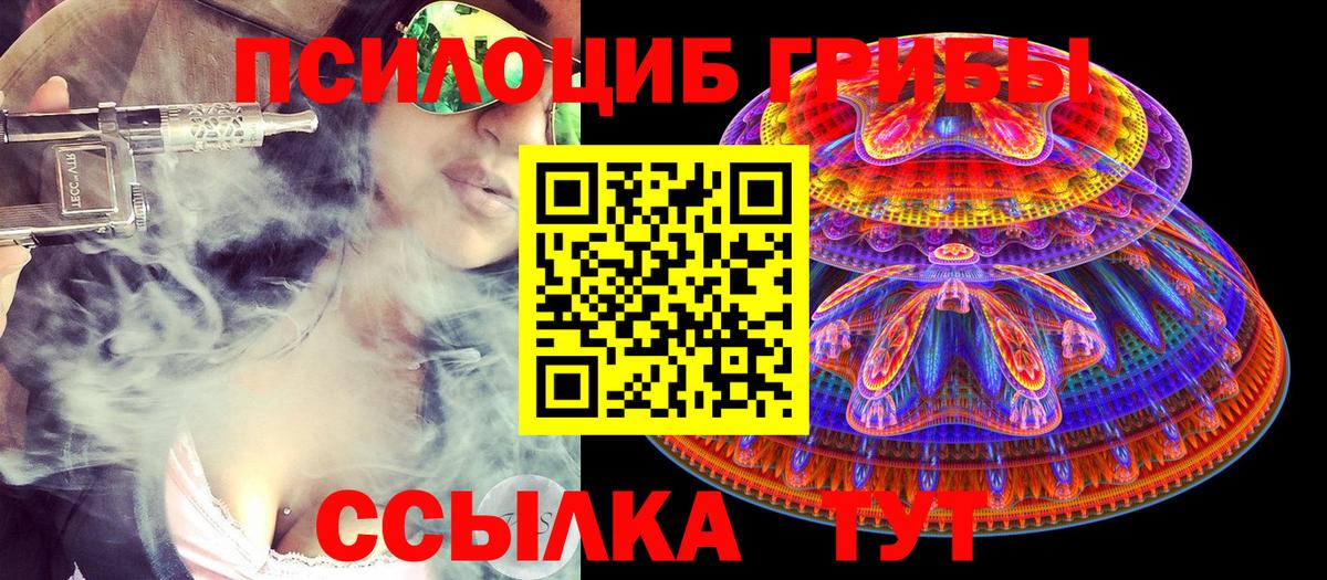 Псилоцибиновые грибы Psilocybine cubensis Кубинка
