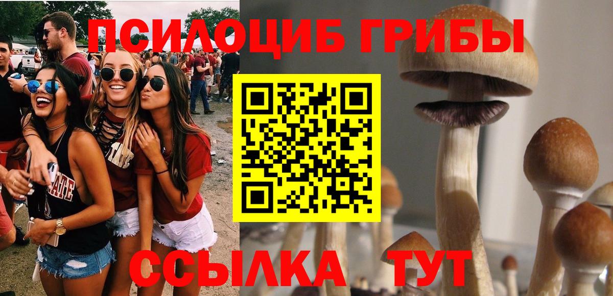 закладка  Вход с VPN  Кубинка  Псилоцибиновые грибы мухоморы 